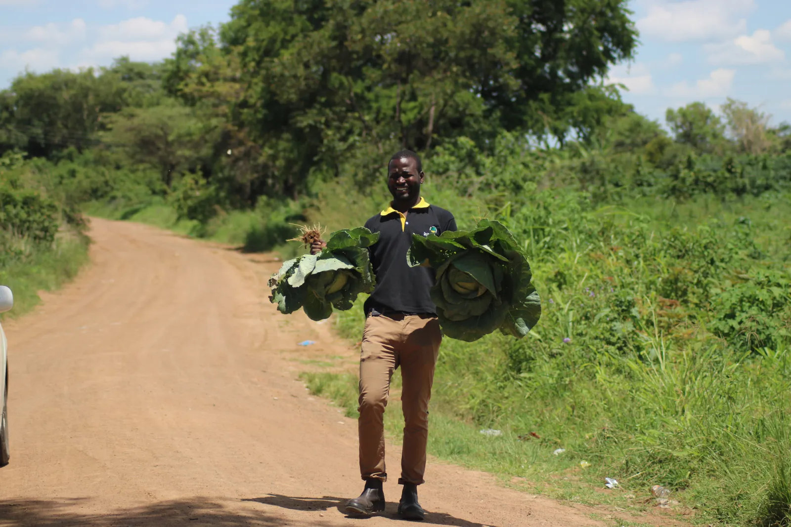 Victor, a New Beginnings Zimbabwe field officer, holding cabbages grown during the regenerative crop trials